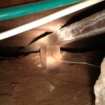 Subfloor piers without termite shields