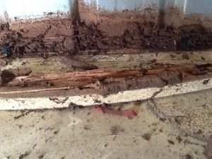 Damaged timbers